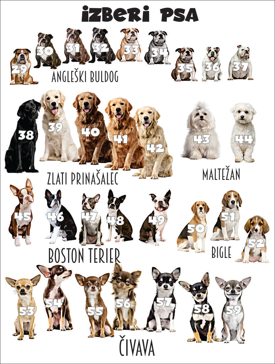 STENSKA GRAFIKA "PUNCA + KUŽA"