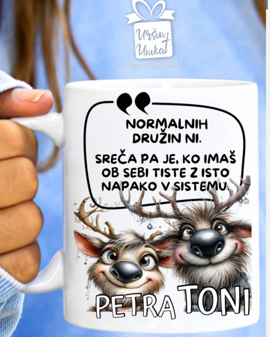 SKODELICA “Napaka v sistemu” - smešno Božično darilo za družino